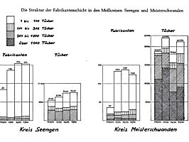 Struktur der Fabrikantenschicht in den Messkreisen Seengen und Meisterschwanden 1790-1794